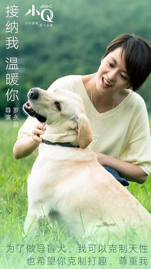 台湾树德科技大学毕业证办理